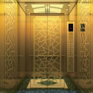 800kg-capacity-mirror-decoration-passenger-elevator